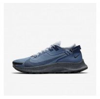 КРОССОВКИ NIKE PEGASUS TRAIL 2 GTX CU2016-400_image_15