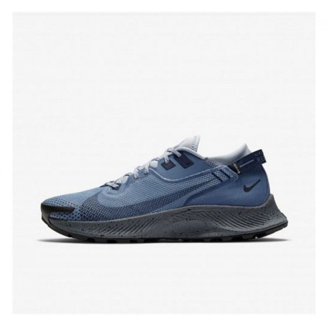 КРОССОВКИ NIKE PEGASUS TRAIL 2 GTX CU2016-400_image_2