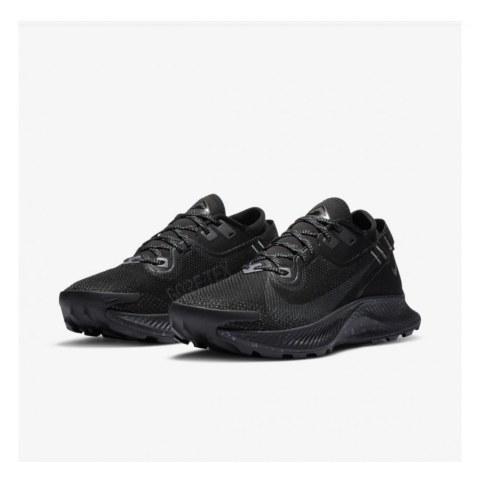 Кросівки NIKE W PEGASUS TRAIL 2 GTX CU2018-001_image_4