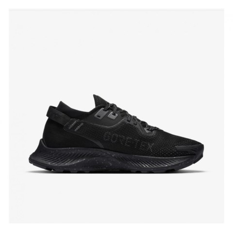 Кросівки NIKE W PEGASUS TRAIL 2 GTX CU2018-001_image_1