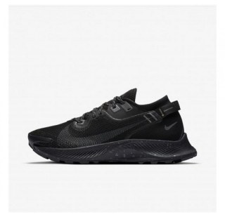 Кросівки NIKE W PEGASUS TRAIL 2 GTX CU2018-001