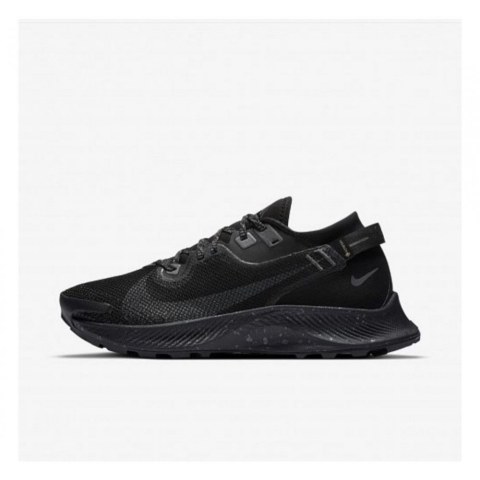 Кросівки NIKE W PEGASUS TRAIL 2 GTX CU2018-001_image_2
