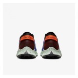  Кросівки NIKE W PEGASUS TRAIL 2 GTX CU2018-600_image_5