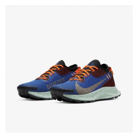  Кросівки NIKE W PEGASUS TRAIL 2 GTX CU2018-600_image_6