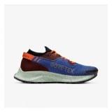  Кросівки NIKE W PEGASUS TRAIL 2 GTX CU2018-600_image_1