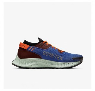  Кросівки NIKE W PEGASUS TRAIL 2 GTX CU2018-600