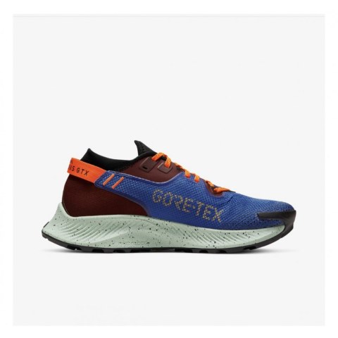  Кросівки NIKE W PEGASUS TRAIL 2 GTX CU2018-600_image_1