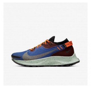  Кросівки NIKE W PEGASUS TRAIL 2 GTX CU2018-600