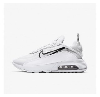 Жіночі кросівки Nike Air Max 2090 CK2612-100