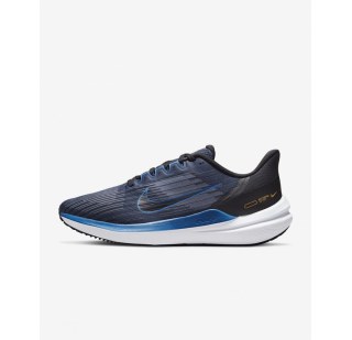 Кросівки Nike Air Winflo 9 DD6203-400