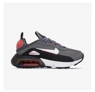 Кросівки Nike Air Max 2090 C/S (Gs) DH9738-001