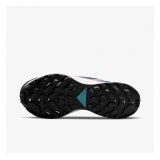 Женские кроссовки Nike W Pegasus Trail 3 DA8698-300_image_8