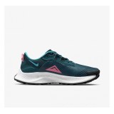 Женские кроссовки Nike W Pegasus Trail 3 DA8698-300_image_1