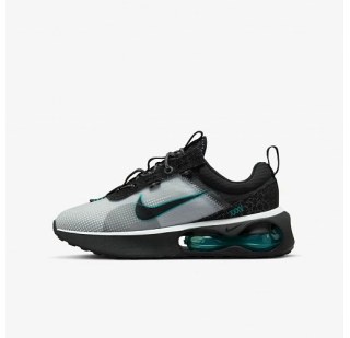 Кросівки Nike Air Max 2021 DJ0449-001
