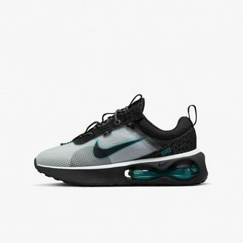 Кросівки Nike Air Max 2021 DJ0449-001_image_2