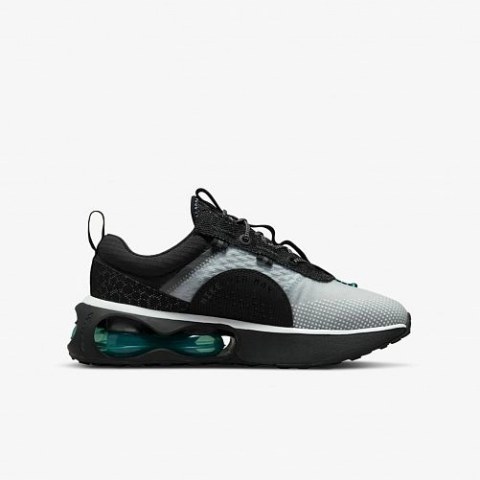 Кросівки Nike Air Max 2021 DJ0449-001_image_1