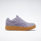 Жіночі кросівки Reebok Court Double Mix EG5823_image_1