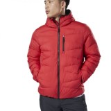 Мужской пуховик Reebok Outerwear Synthetic DX2420_image_1