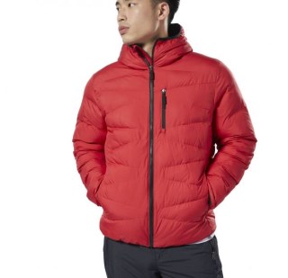 Мужской пуховик Reebok Outerwear Synthetic DX2420