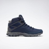 Чоловічі черевики Reebok Trailchaser Mid FU8508_image_1