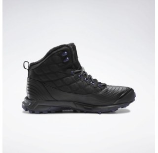 Жіночі черевики Reebok Arctic Sugar FV5406
