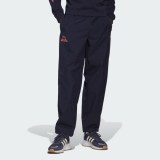 БРЮКИ ADIDAS ADVENTURE RIDE HK4979_image_1