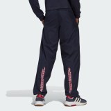 БРЮКИ ADIDAS ADVENTURE RIDE HK4979_image_2