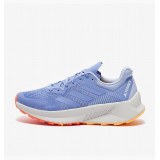Кроссовки Adidas Terrex Soul Stride Flow Blue HP5565_image_2