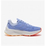 Кроссовки Adidas Terrex Soul Stride Flow Blue HP5565_image_1