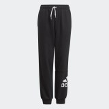 Штани Adidas Essentials Performance GN4036_image_1