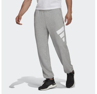 Штани adidas Sportswear Future Icons Logo Graphic H39795