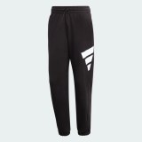 Брюки adidas Sportswear Future Icons Logo Graphic H39796_image_1