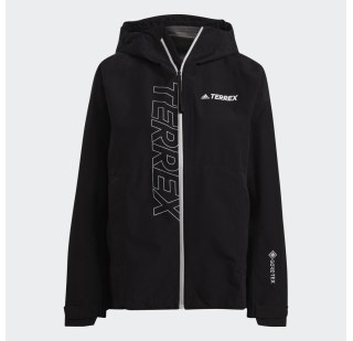Куртка Adidas Adidas Terrex Gore-Tex GM4807