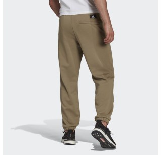 Штаны Adidas Sportswear Icons Logo GR4082