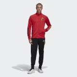 Спортивный костюм Adidas Belgium FI5414_image_1