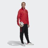 Спортивный костюм Adidas Belgium FI5414_image_3