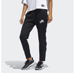 Штани Adidas Graphic Snap Sportswear GJ6557