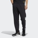 Мужские брюки Adidas Wording HD0076_image_1