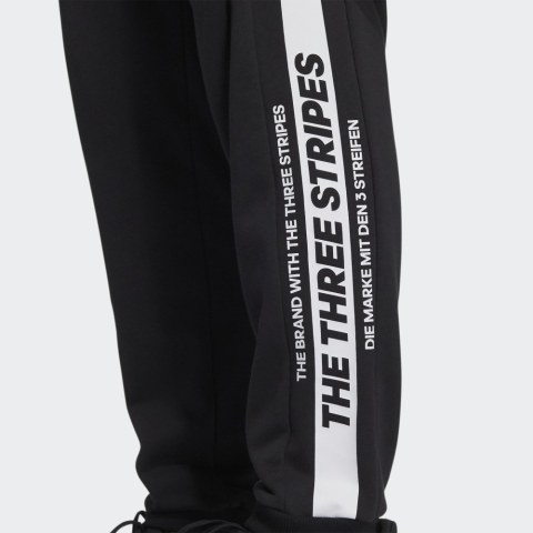 Мужские брюки Adidas Wording HD0076_image_4