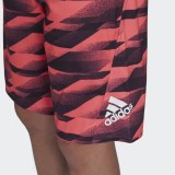 Мужские Шорты Adidas FS4024_image_6