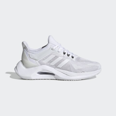 Кроссовки для бега Adidas Alphatorsion 2.0 Performance GY0599_image_1