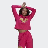 Худи Adidas Disney Bambi Graphic Originals HD2758_image_1