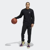Штани Adidas Dame 8 Innovation Performance HD5207_image_6