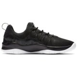 Жіночі кросівки Nike Jordan Deca Fly Prem 845097-010 _image_1