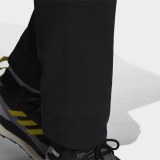 Брюки Adidas Terrex Yearound Soft Shell H64172_image_3