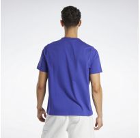Мужская  футболка Reebok HN5802_image_8