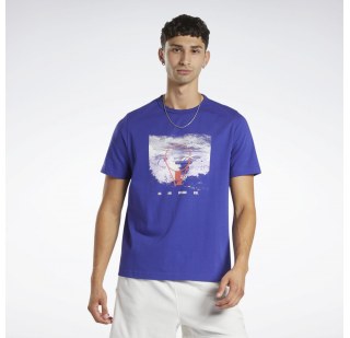 Мужская  футболка Reebok HN5802