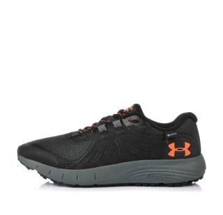 Чоловічі кросівки Under Armour Charged Bandit Trail GTX 3022784-006