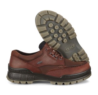 Кросівки Ecco Track Gore-Tex 831714-52600