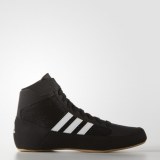 Борцовки Adidas Havoc AQ3325_image_1